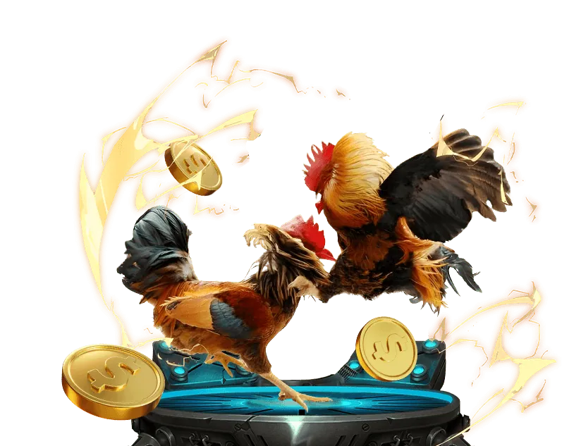 Hoàn trả hàng ngày cá cược thể thao Hi88.com Nha Cai